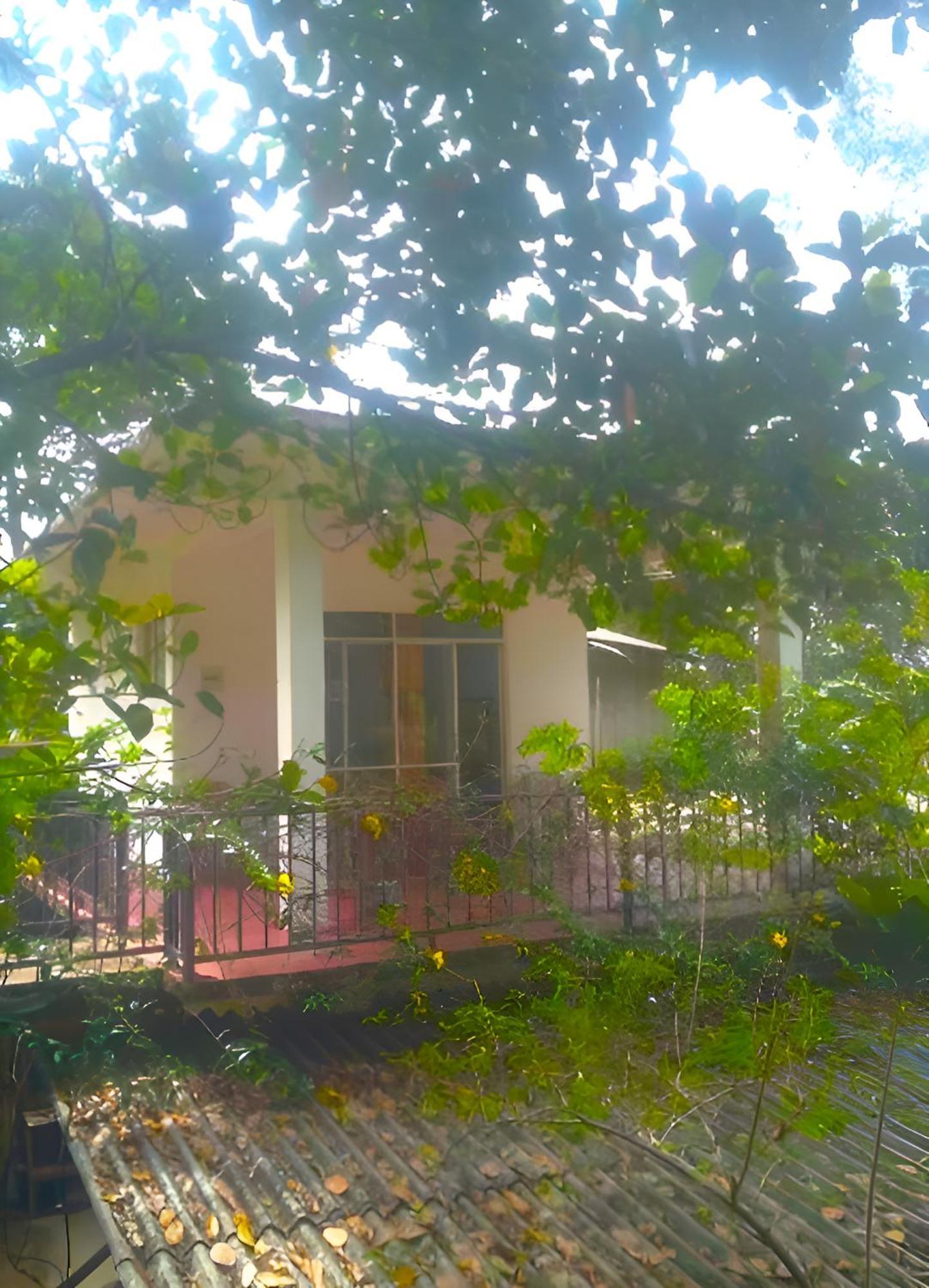 Senehas Homestay Ella Ngoại thất bức ảnh